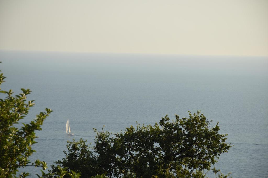 Villa Coast Of Montenegro Bar Kültér fotó